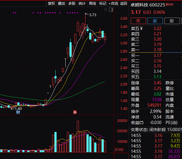 连续5年造假！这只A股<strong></p>
<p>虚拟币王者荣耀</strong>，面临强制退市！