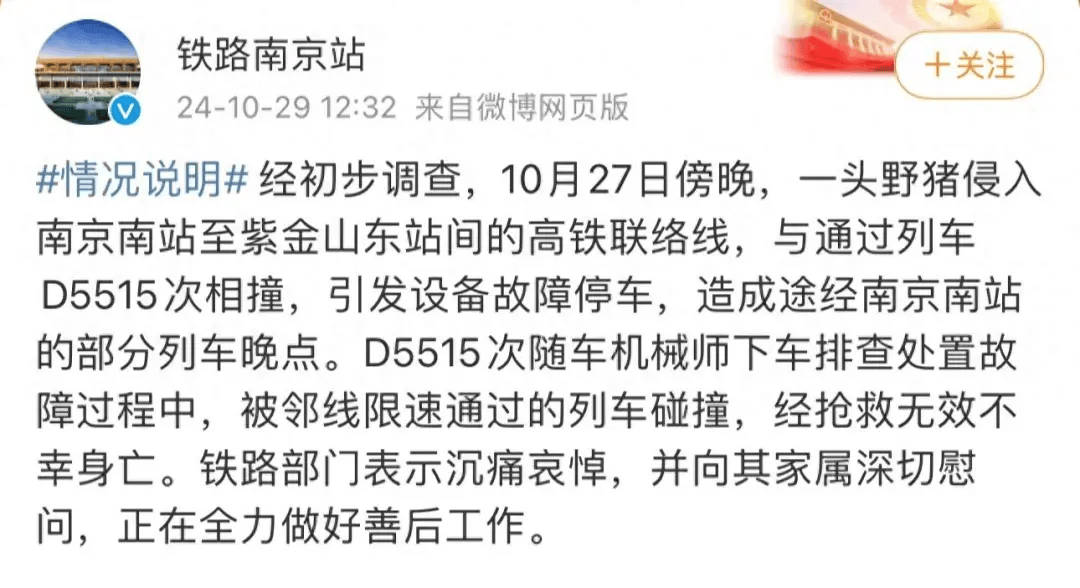 街头横冲直闯<strong></p>
<p>虚拟币交易网站</strong>，抱娃女子被撞伤，警方：已被特警击毙