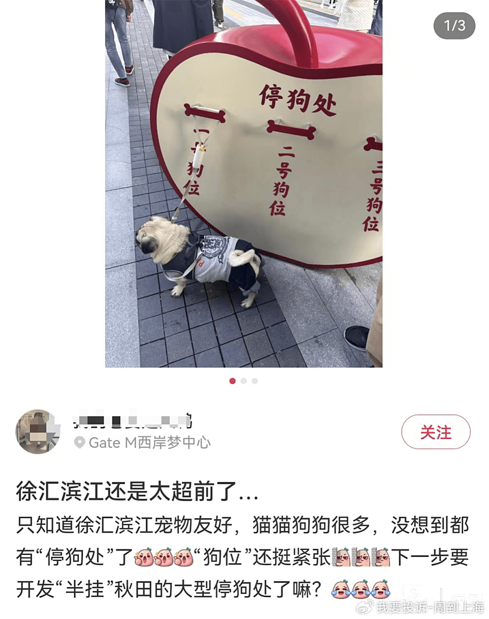 上海现“停狗处”太超前？记者实探：不止一处<strong></p>
<p>虚拟币理财该如何选择</strong>，有人点赞有人忧