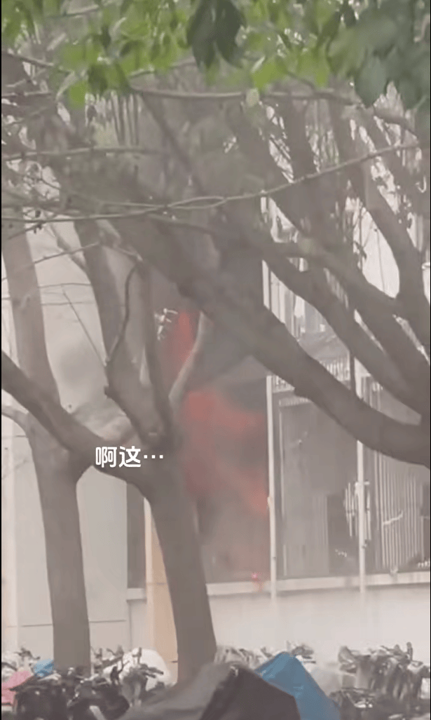 女生宿舍起火<strong></p>
<p>虚拟游戏币代理商</strong>，楼栋闸机成撤离“拦路虎”，警务室：刷脸是为保障安全