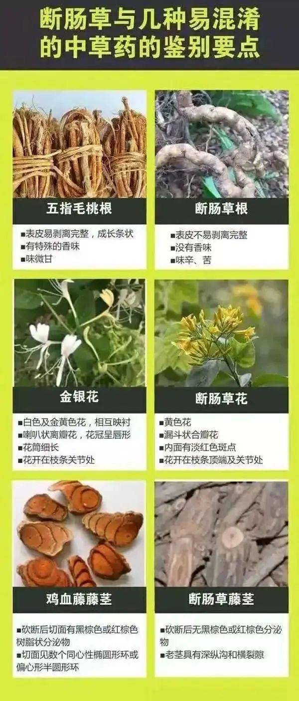 广东一老人买药材煲汤中毒身亡 当地：店铺误售断肠草<strong></p>
<p>模拟城市虚拟币</strong>，老板被拘留