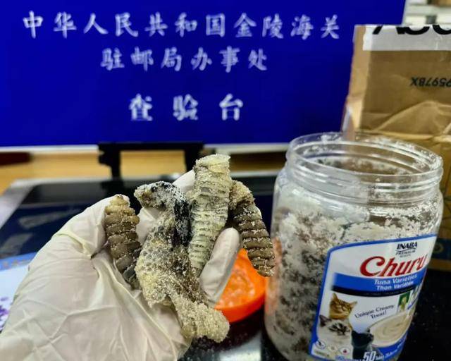 离谱！2.4斤生腌响尾蛇<strong></p>
<p>ltc</strong>，被藏在零食罐里……