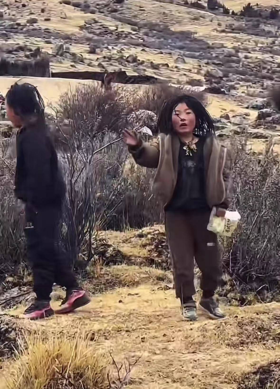 重庆男子在理塘旅游送当地小孩零食<strong></p>
<p>核原油</strong>,反被赠三只藏獒,“他们把我当做很好的客人”