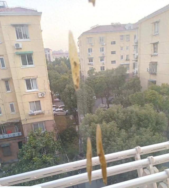 热闻|孩子从楼上抛下湿纸团<strong></p>
<p>期货原油</strong>,家长赔了7000元!高空抛物应承担哪些法律责任?