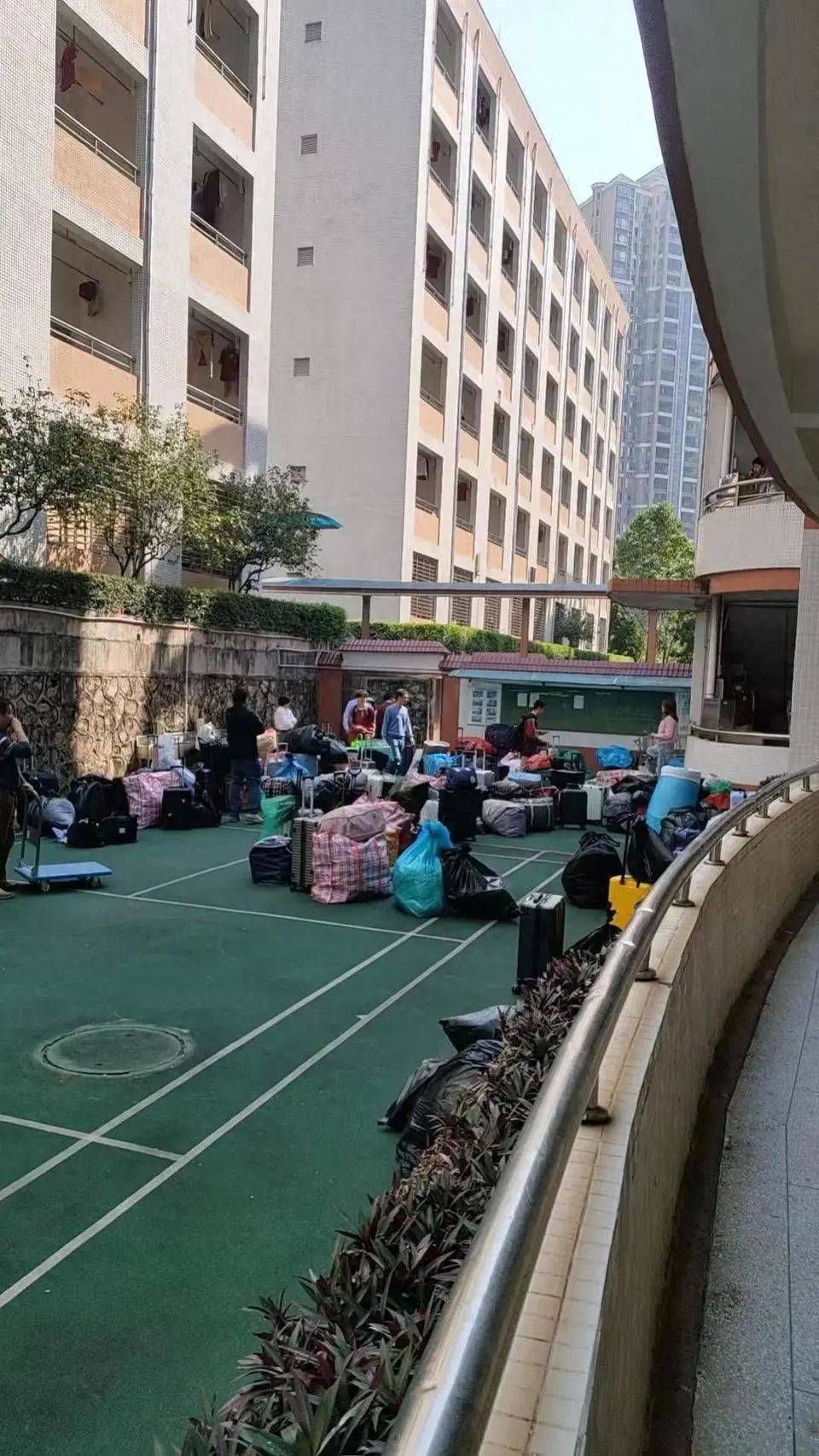 “什么年代还有这么多跳蚤？”东莞6千人学校跳蚤肆虐<strong></p>
<p>期货原油</strong>，全校放假消杀