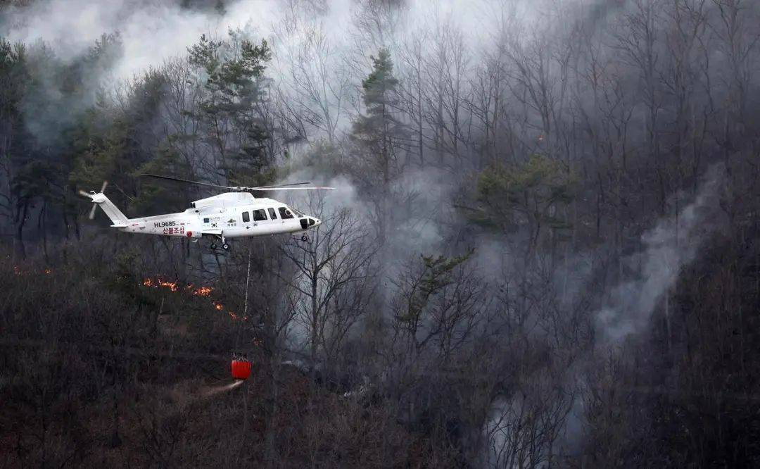 已致4名消防员遇难<strong></p>
<p>国际原油大涨</strong>!多地进入“灾难状态”
