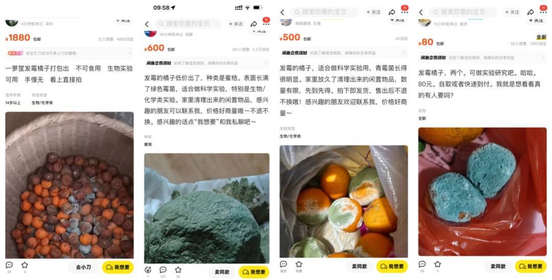 突然火了<strong></p>
<p>中原油田工会</strong>！有人卖500元一个！网友：后悔扔了……
