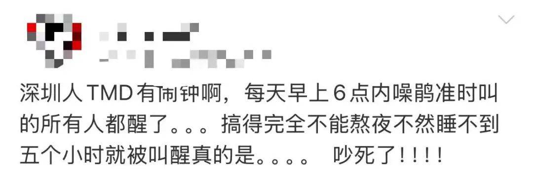 “周末想睡个懒觉都不行”<strong></p>
<p>国际原油新闻</strong>，有多少深圳人被这种鸟吵到神经衰弱