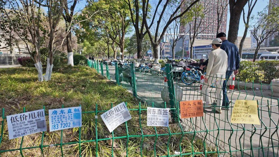 一二线城市房租普降<strong></p>
<p>原油套保</strong>，房东主动降200留我