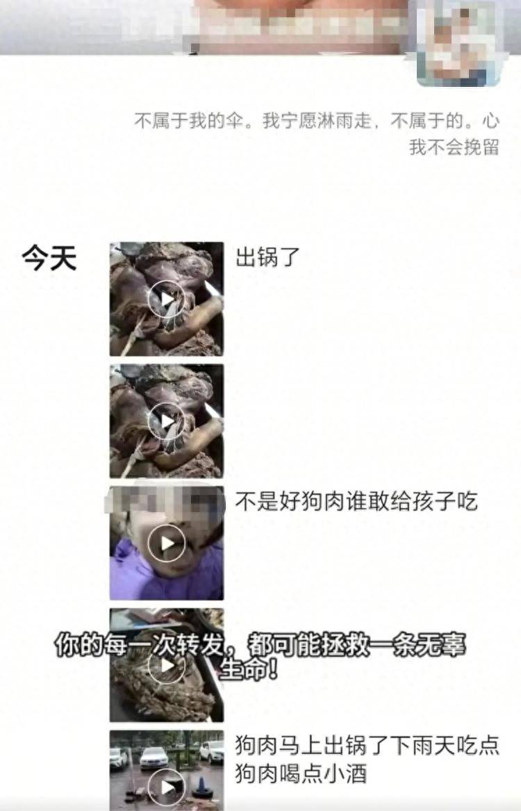 沈阳一店铺老板假借领养名义烹食流浪狗<strong></p>
<p>原油投资交易</strong>，警方：正在研讨处置