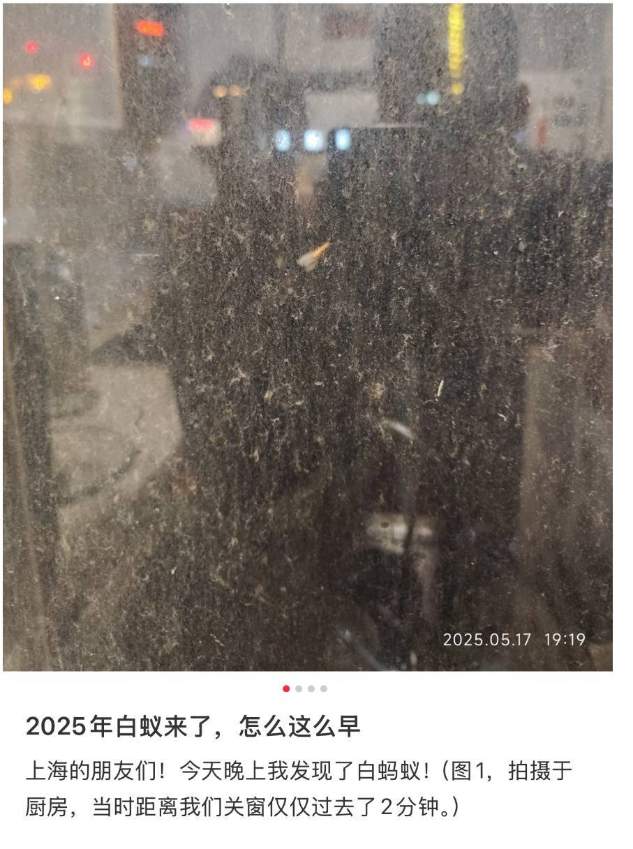 紧急提醒：瞬间爆发！上海市民崩溃：密密麻麻<strong></p>
<p>原油期货门槛</strong>，蠕蠕爬行...“梧桐区”已开始战斗，白蚁或提前分飞