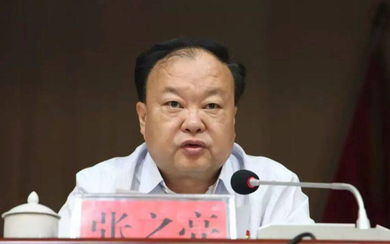 中央提级巡视期间<strong></p>
<p>柴原油</strong>，已降级、退休的张之亮，官宣落马！