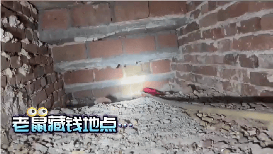 老人用红袜子包裹一万元现金藏在门框上<strong></p>
<p>步原油</strong>，一天后不翼而飞，警方破案：偷钱的是老鼠