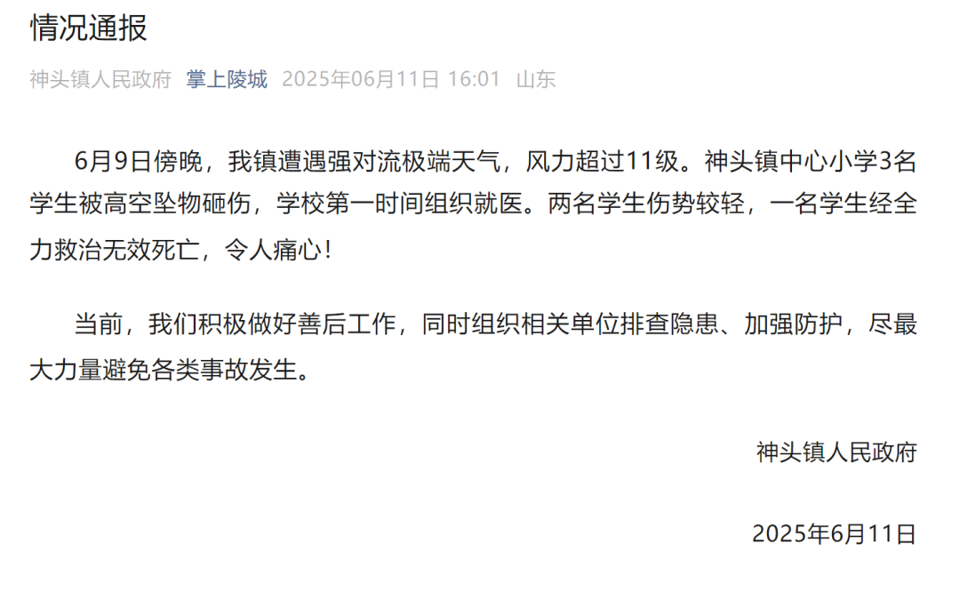 山东德州通报“小学楼顶光伏板掉落砸中多名学生”：3名学生被砸伤<strong></p>
<p>v原油</strong>，1名学生经全力救治无效死亡