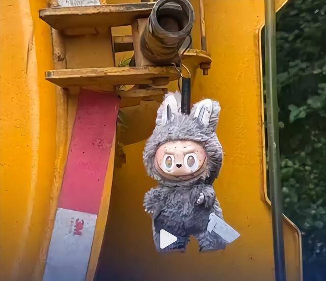 大爷捡到labubu随手挂吸粪车<strong></p>
<p>原油期货最新价格</strong>,女子蹲点数天被人99元抢先买走