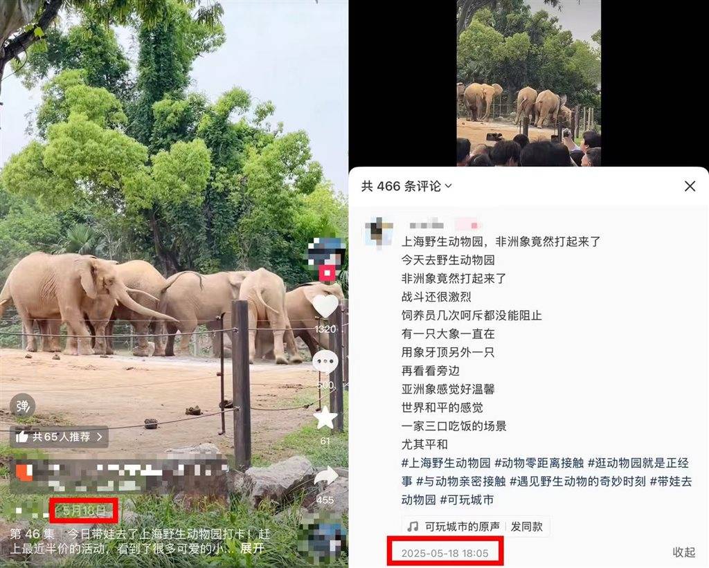 被攻击的母象丹妮未展出<strong></p>
<p>今天国际原油</strong>,为震慑作用设脉冲电网!记者实探上海野生动物园