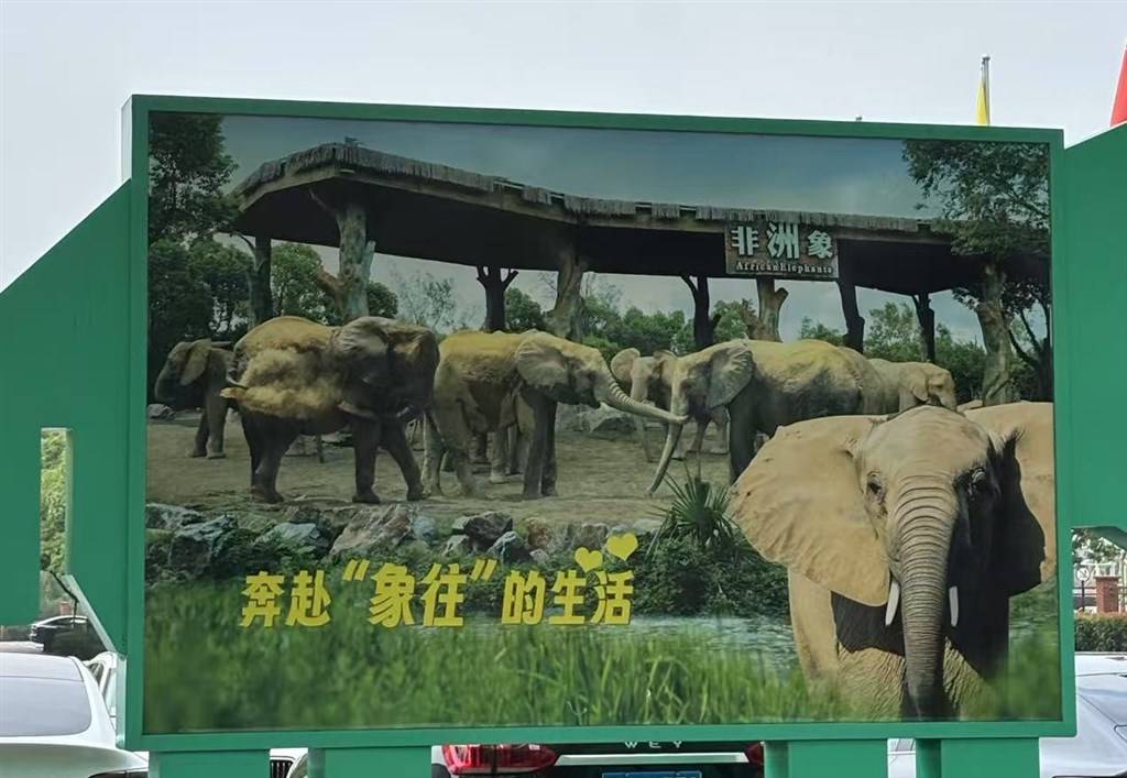 被攻击的母象丹妮未展出<strong></p>
<p>今天国际原油</strong>,为震慑作用设脉冲电网!记者实探上海野生动物园