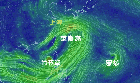 大风+大雨<strong></p>
<p>原油历史价格</strong>，上海今起受台风影响！一活动紧急取消！这几个区的雨更大