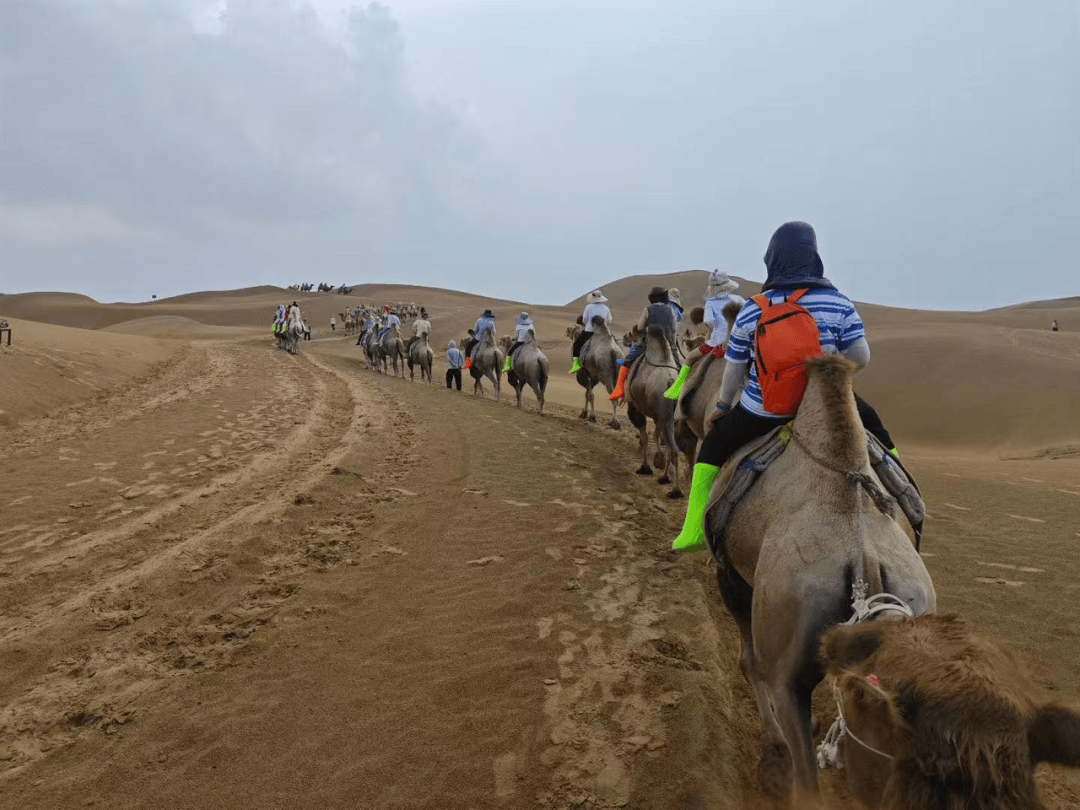 内蒙古遇1959年来最强降水<strong></p>
<p>正规交易原油平台</strong>,有游客滞留沙漠近三小时