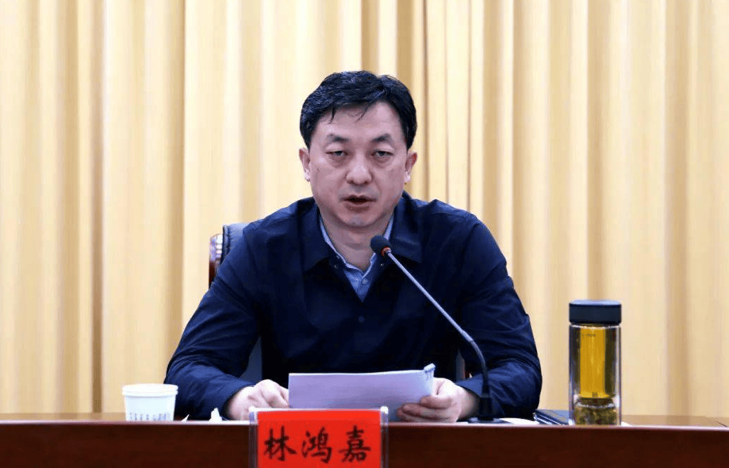 鹤壁市常务副市长林鸿嘉<strong></p>
<p>原油软件下载</strong>，被罢免市人大代表职务