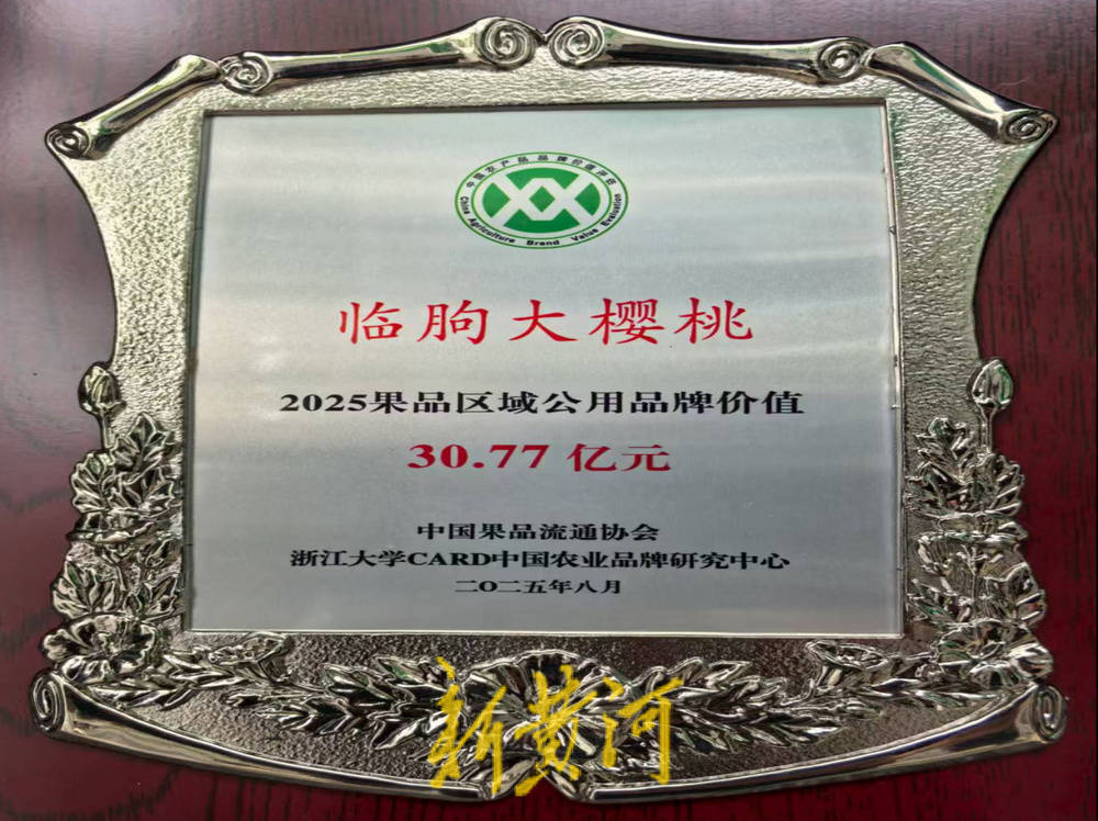 潍坊临朐：30.77 亿元<strong></p>
<p>原油软件下载</strong>！“红玛瑙”大樱桃何以成乡村振兴“甜蜜引擎”