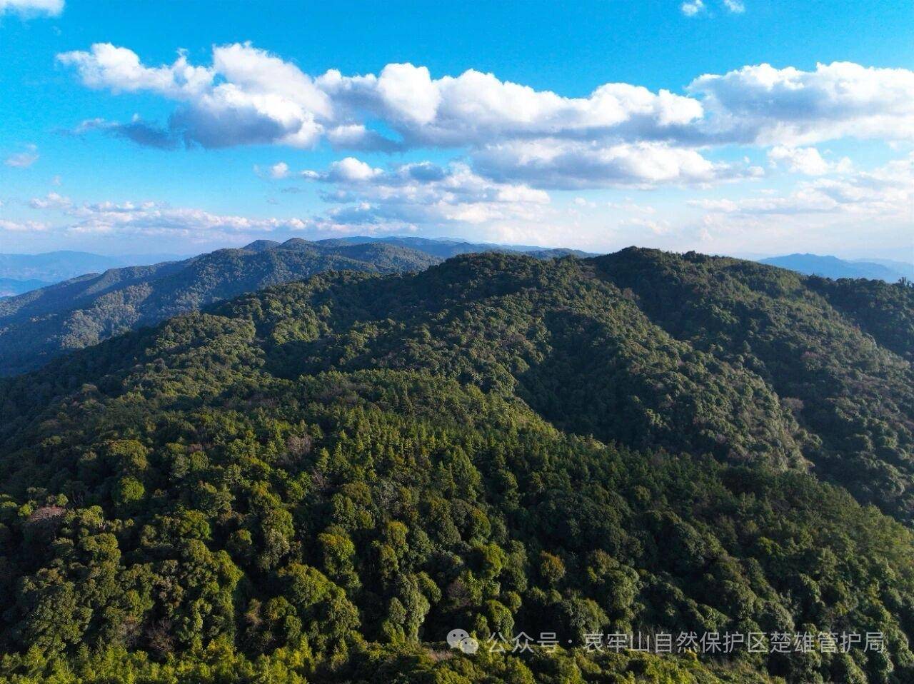 云南哀牢山新规出台：禁止任何单位和个人擅入哀牢山自然保护区<strong></p>
<p>原油期货开户流程</strong>，从事科研活动须报批