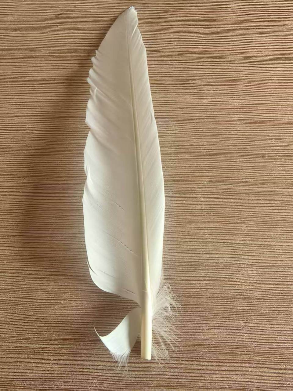 羽毛球又又又涨价<strong></p>
<p>原油期货开户流程</strong>,球友破防:月花三千扛不住,打球人的天塌了