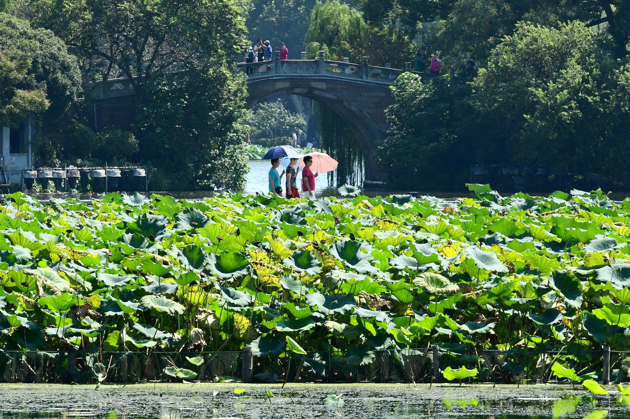 “三台共舞”对浙江有何影响?周末又有冷空气<strong></p>
<p>原油最新新闻</strong>,气温舒适