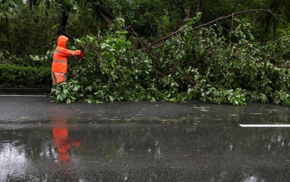 谁给“风王”踩了“刹车”<strong></p>
<p>阳春房产资讯网</strong>，打了“转向”，又是咋知道的?