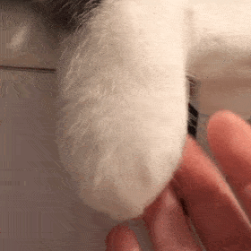 1227个城镇老旧小区<strong></p>
<p>阳春房产资讯网</strong>，全部开工！