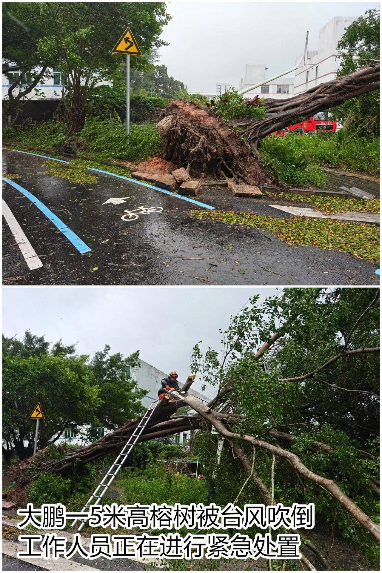 台风夜<strong></p>
<p>阳春房产资讯网</strong>,深圳有人溺水!紧急!“桦加沙”过境,这些画面泪目