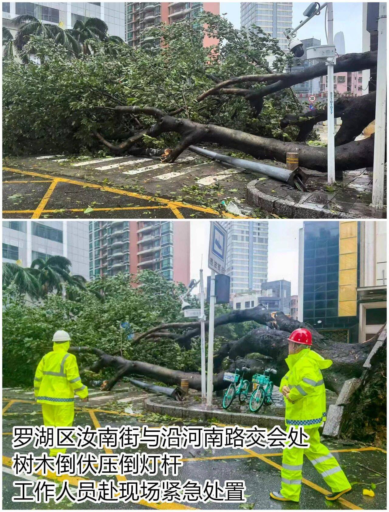 台风夜<strong></p>
<p>阳春房产资讯网</strong>,深圳有人溺水!紧急!“桦加沙”过境,这些画面泪目