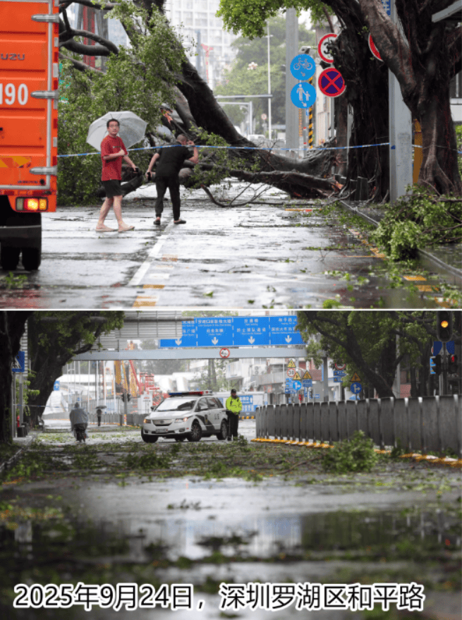 台风夜<strong></p>
<p>阳春房产资讯网</strong>,深圳有人溺水!紧急!“桦加沙”过境,这些画面泪目