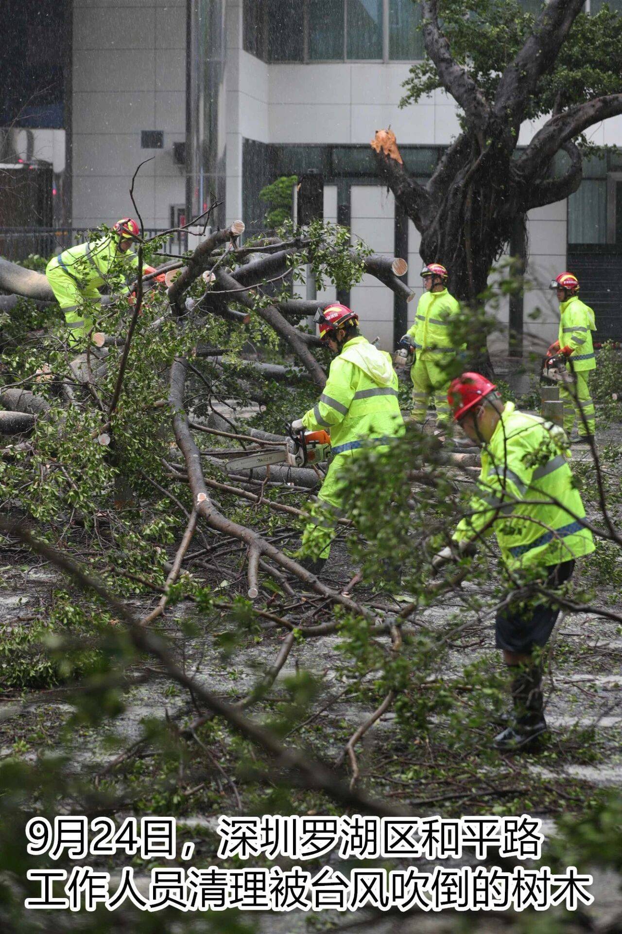 台风夜<strong></p>
<p>阳春房产资讯网</strong>,深圳有人溺水!紧急!“桦加沙”过境,这些画面泪目