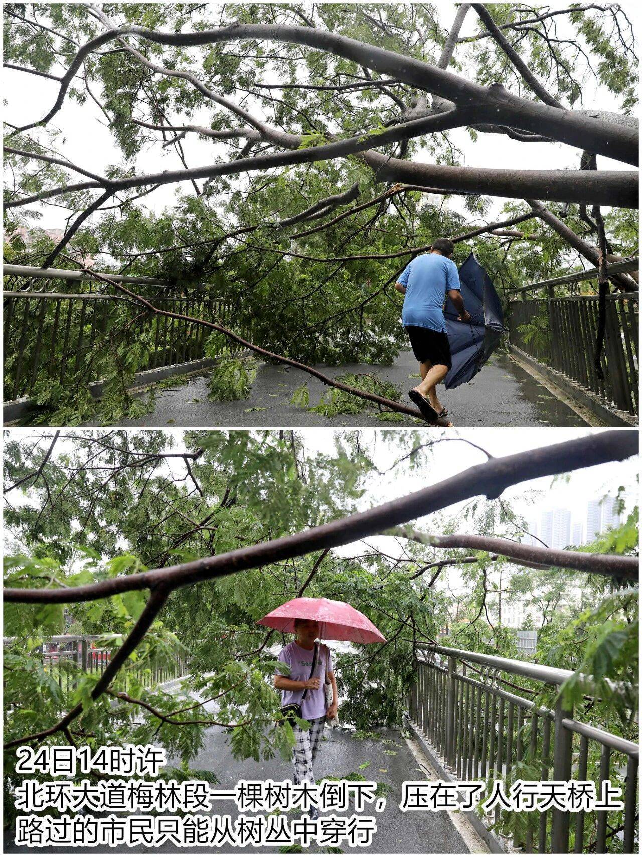台风夜<strong></p>
<p>阳春房产资讯网</strong>,深圳有人溺水!紧急!“桦加沙”过境,这些画面泪目