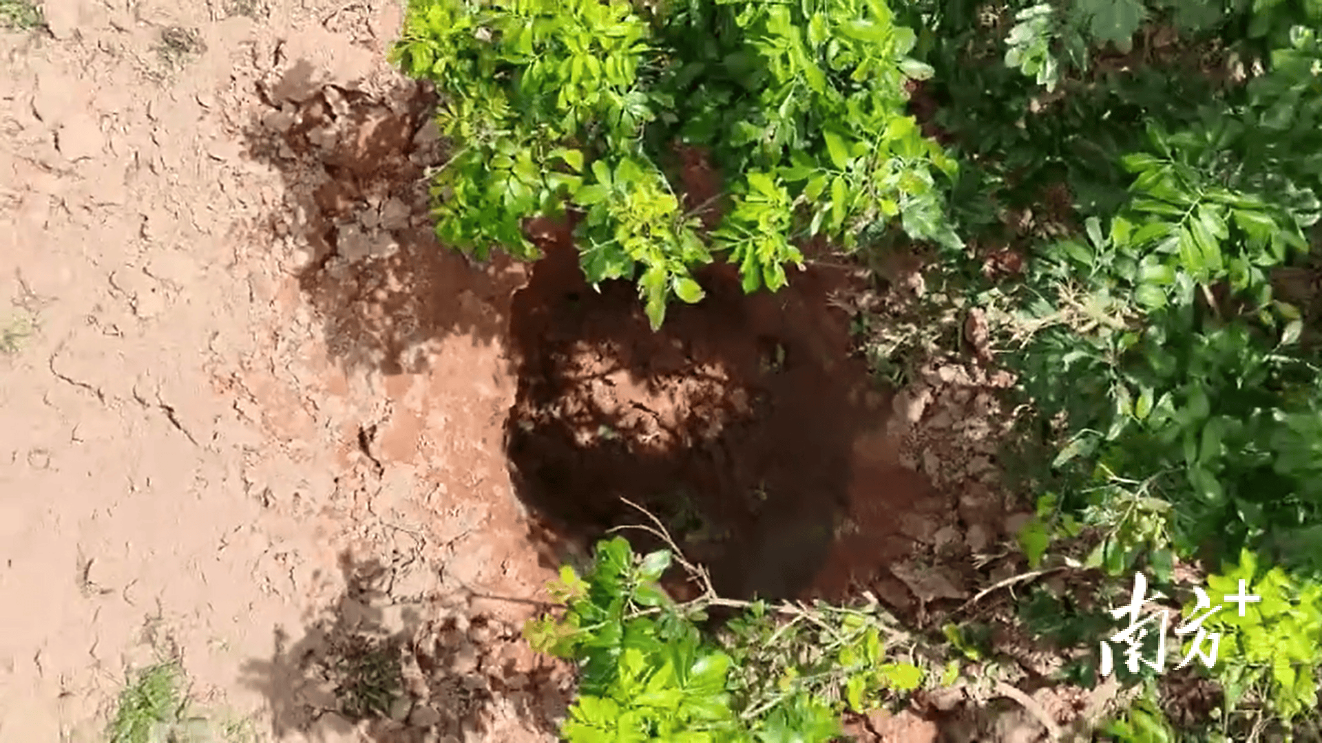 423公斤陨石在茂名电白挖出<strong></p>
<p>阳春房产资讯网</strong>,系国内目击降落第二大单体陨石