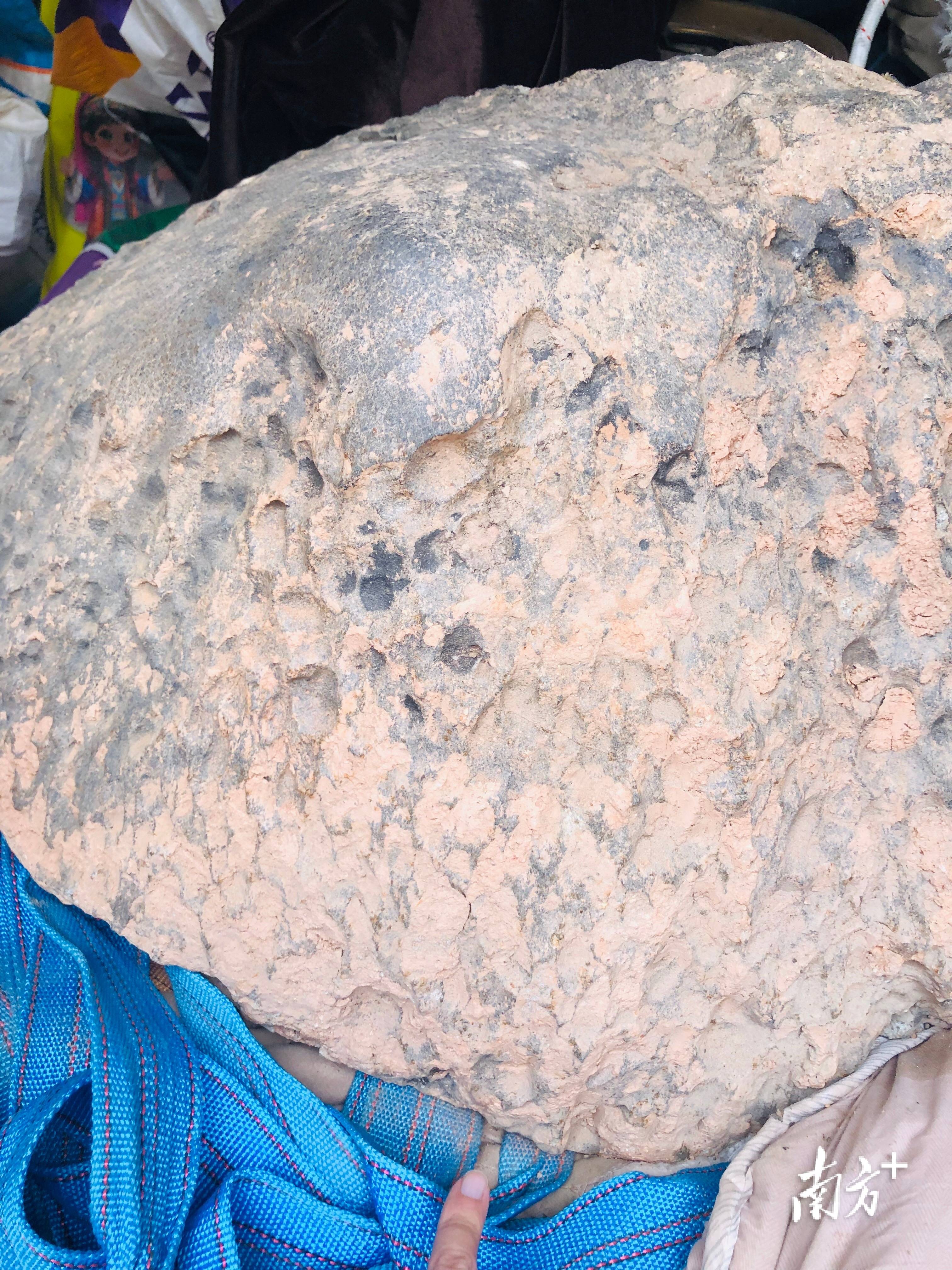 423公斤陨石在茂名电白挖出<strong></p>
<p>阳春房产资讯网</strong>,系国内目击降落第二大单体陨石