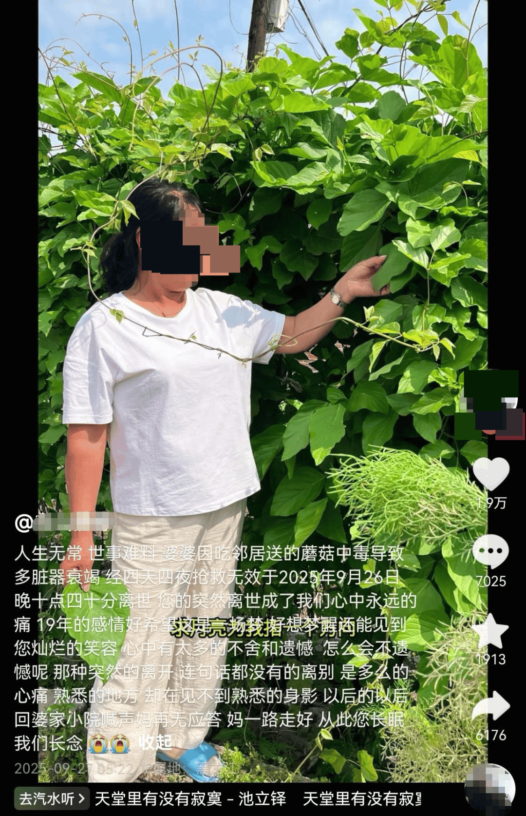 网红发文悼念婆婆:吃了邻居送的蘑菇中毒<strong></p>
<p>凤凰卫视资讯台节目表</strong>,抢救四天四夜死亡!这些蘑菇避毒原则可能是陷阱→