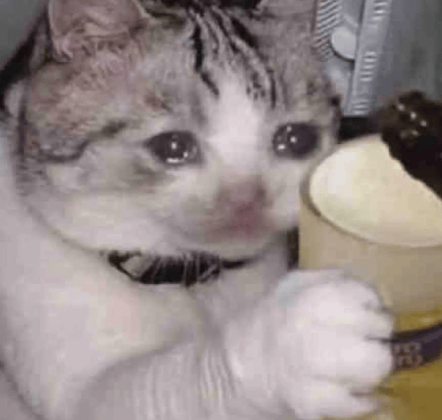 “不亚于春节回家”！凌晨5点<strong></p>
<p>中国投资资讯网007</strong>，深圳有人已经堵在路上……