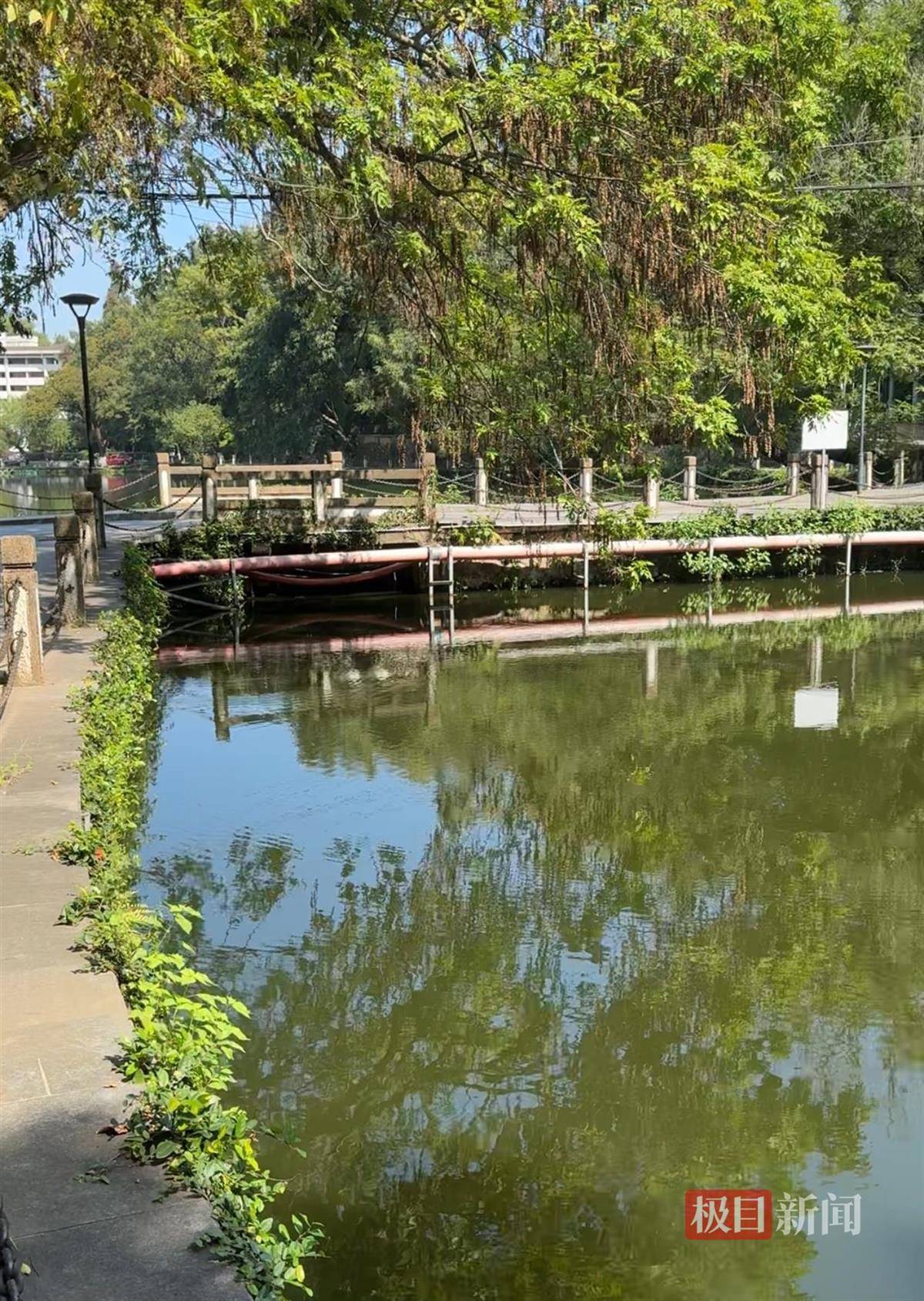 对话鸡排哥李俊永:爆火后每天一二十个镜头对着我<strong></p>
<p>中国投资资讯网007</strong>,未来不考虑直播带货,更愿意和顾客待在一起