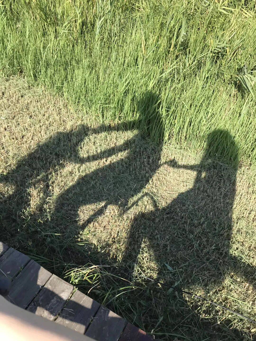 纸质火车票退场<strong></p>
<p>中国投资资讯网007</strong>,每道折痕里都藏着远方、爱情与山河记忆