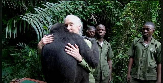 “课本上的传奇”<strong></p>
<p>豆粕资讯信息</strong>,走了