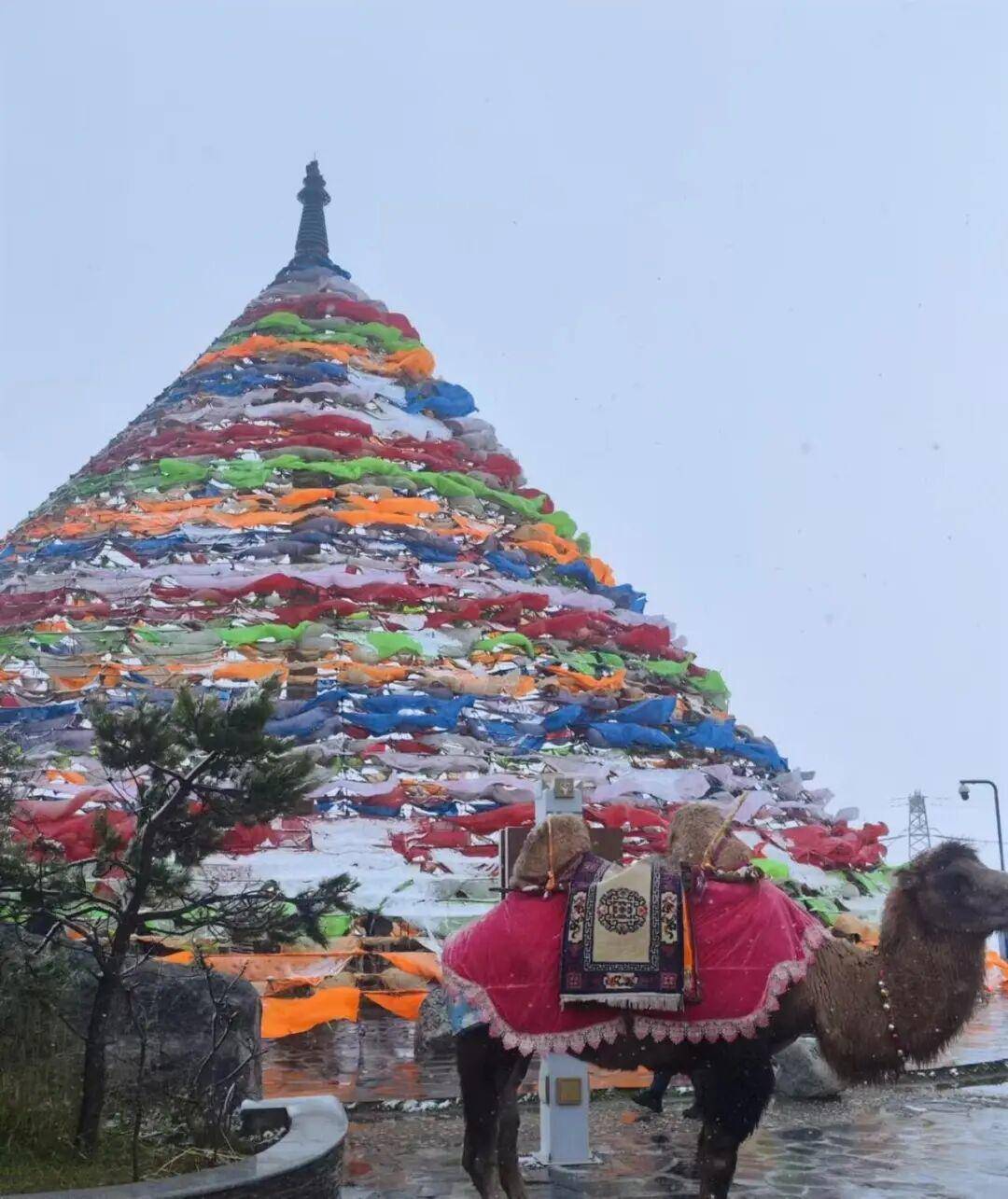 多地突降大雪<strong></p>
<p>豆粕资讯信息</strong>!