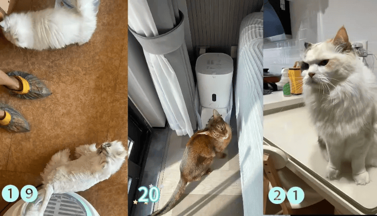 这个需求激增!一男子连接270单<strong></p>
<p>香港赛冯资讯</strong>,其中一笔收费8100元