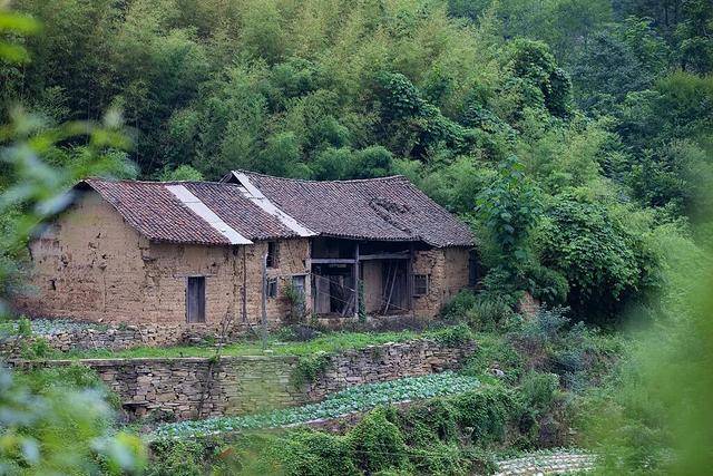 没人住的房子<strong></p>
<p>香港赛冯资讯</strong>，为什么会“老”得特别快？