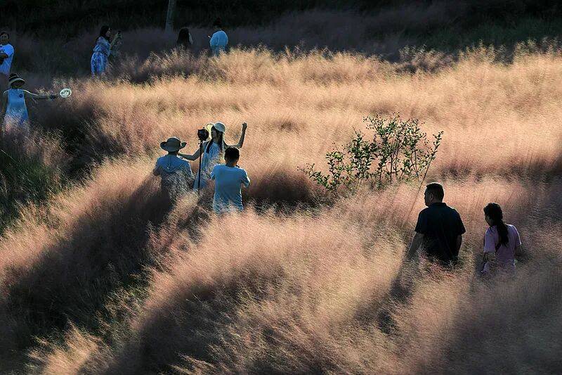 打卡拍照<strong></p>
<p>海南港澳资讯产业</strong>，再美也不能用生命对焦