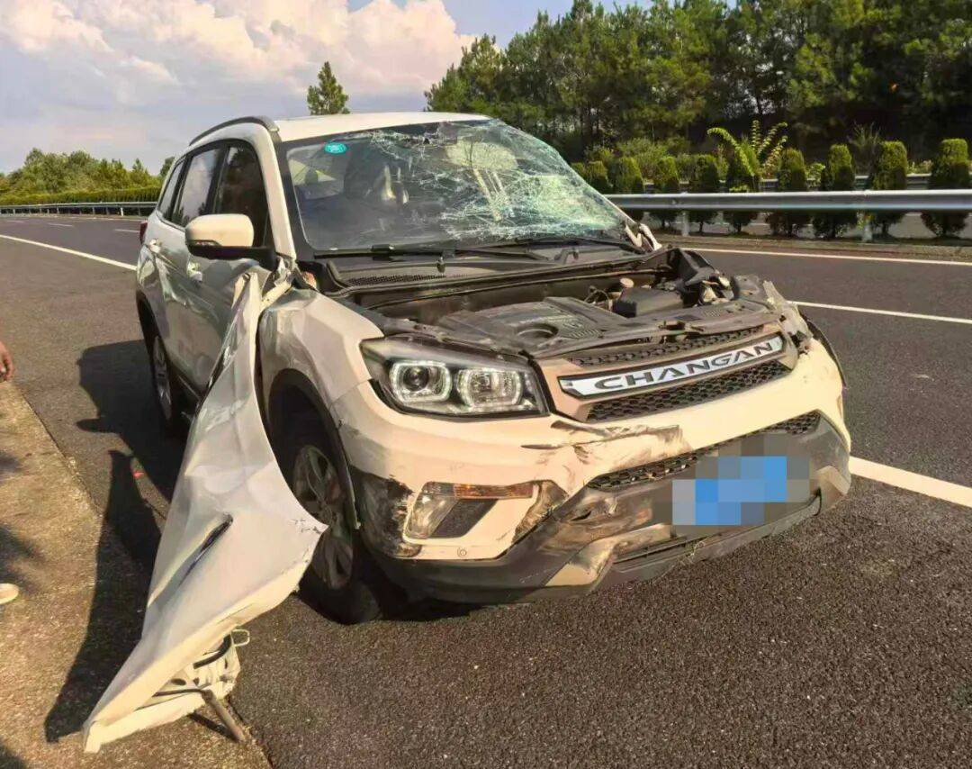 司机强行变道酿大祸<strong></p>
<p>江苏公务员考试资讯网</strong>，反诬赖对方：“我要是撒谎就天打雷劈！”