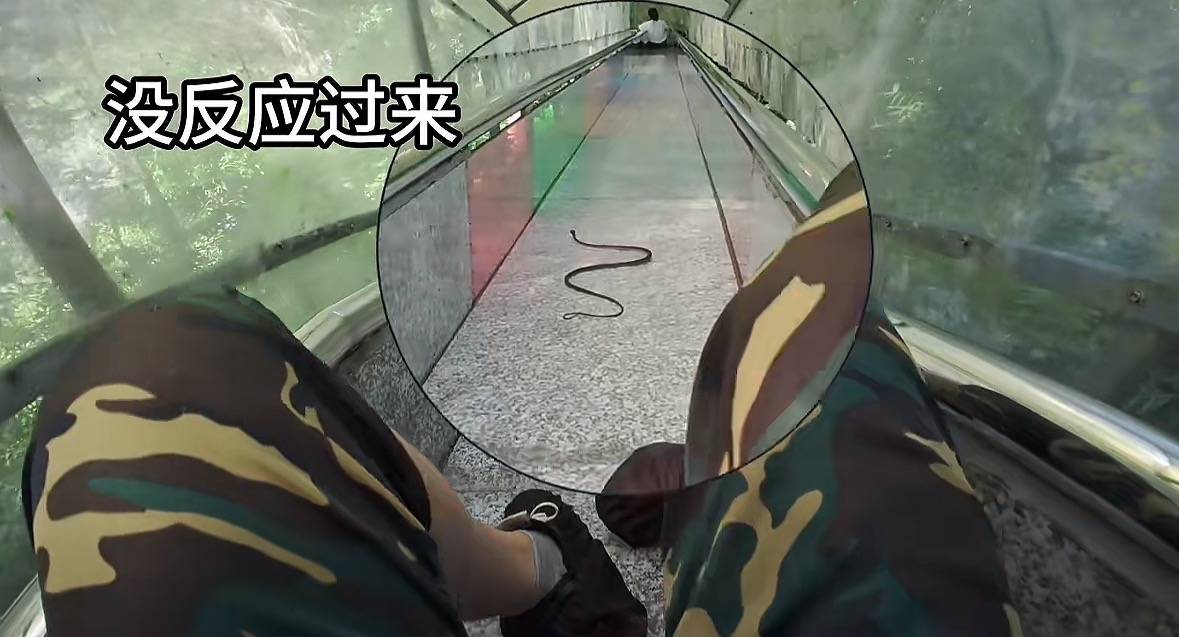 游客称在广西丹炉山滑道遇蛇<strong></p>
<p>中国投资</strong>,景区致歉:这么多年就这一次,每年都做防蛇处理