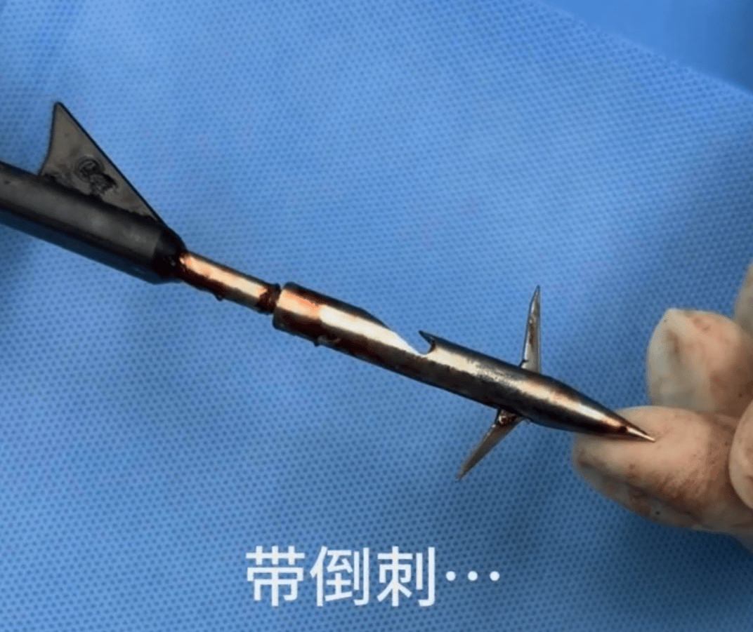 教育局回应“一教师用弓箭射杀小狗”:不实<strong></p>
<p>资讯网交易</strong>,小狗进学校前就被射伤