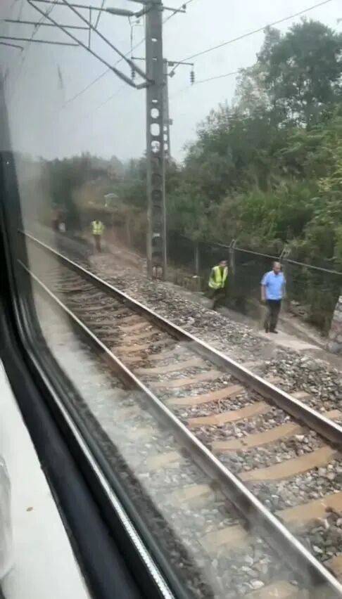 湖北一列车撞上野猪致停运<strong></p>
<p>资讯网交易</strong>,铁路局:野猪已无害化处理,列车正常运行;附近曾发生多起野猪伤人事件